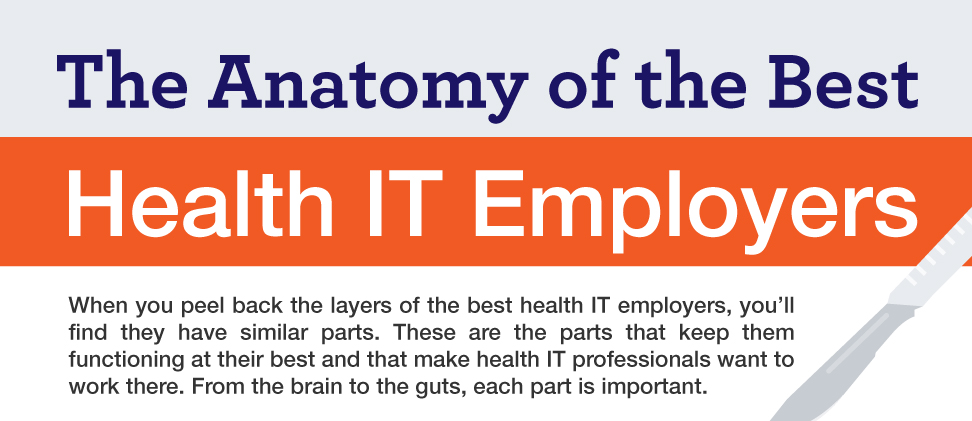 anatomy of an health IT employee