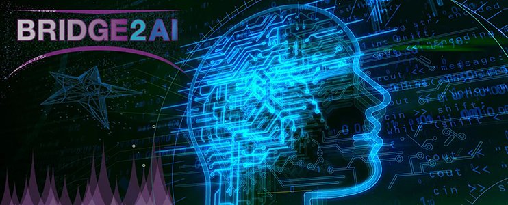 UTHealth Houston joins NIH Bridge2AI initiative to expand Artificial