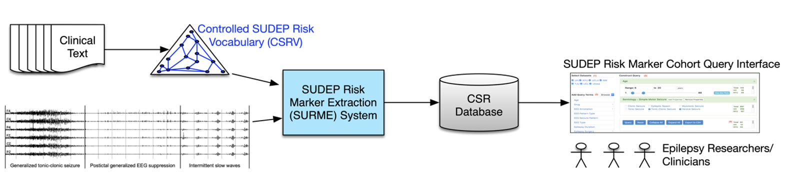 Informatics-framework-sudep-risk-marker.jpg