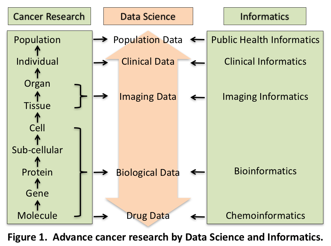 Figure 1 information